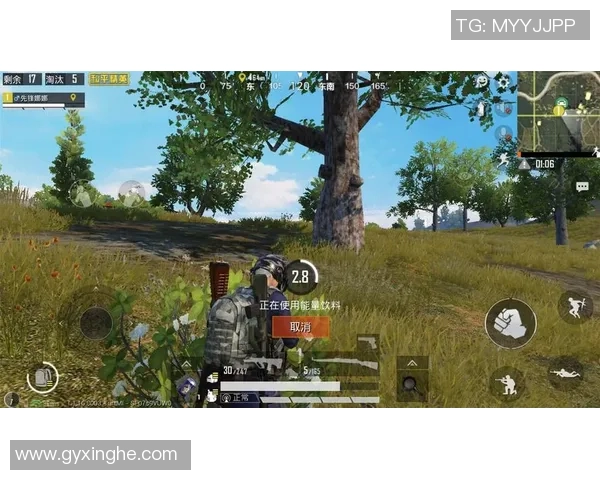 杨娜独家分享和平精英游戏心得与技巧助你快速提升战斗力